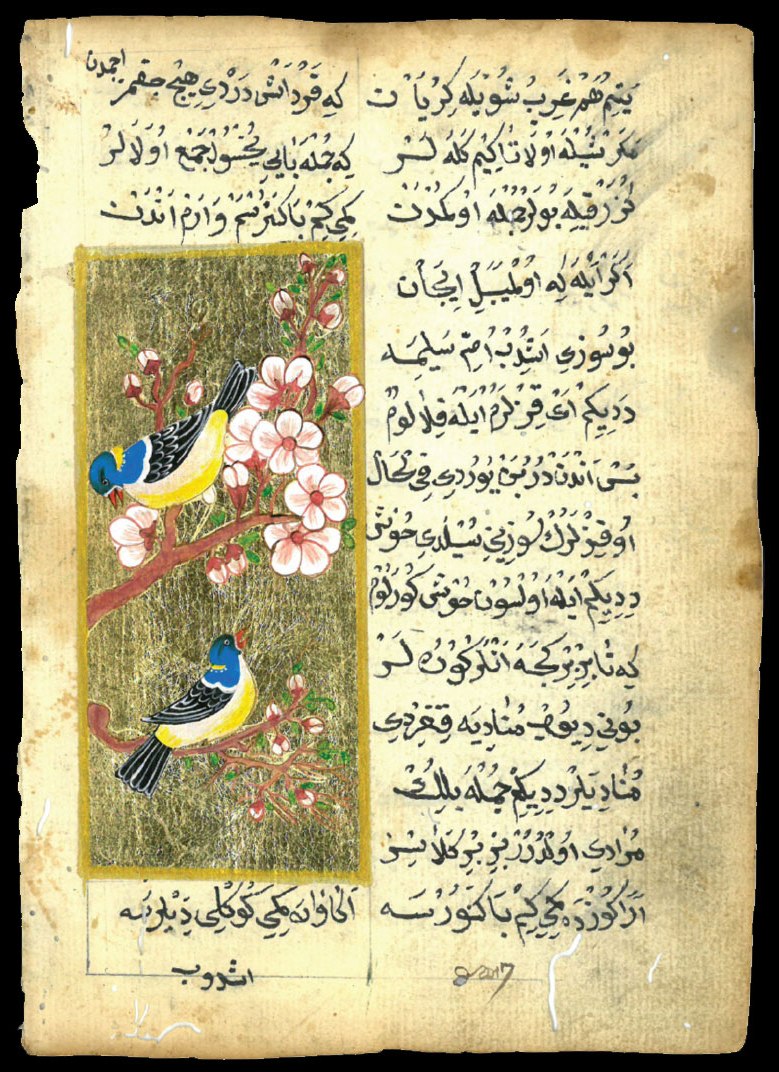 08jpg791812715 eflatun vakfı, bilim sanat tarih, eğitim araştırma vakfı, kültür sanat projeleri, akademik vakıf, bilimsel etkinlikler, tarih araştırmaları, sanat tarihi, kültürel miras, gençlik etkinlikleri, bilimsel çalışmalar, sanat etkinlikleri, vakıf projeleri, eğitim destekleri, akademik destek, kültürel faaliyetler, araştırma projeleri, tarih çalışmaları, türkiye vakıfları, kültür sanat vakfı Bu kelimeleri sitenizin etiketi içine yerleştire